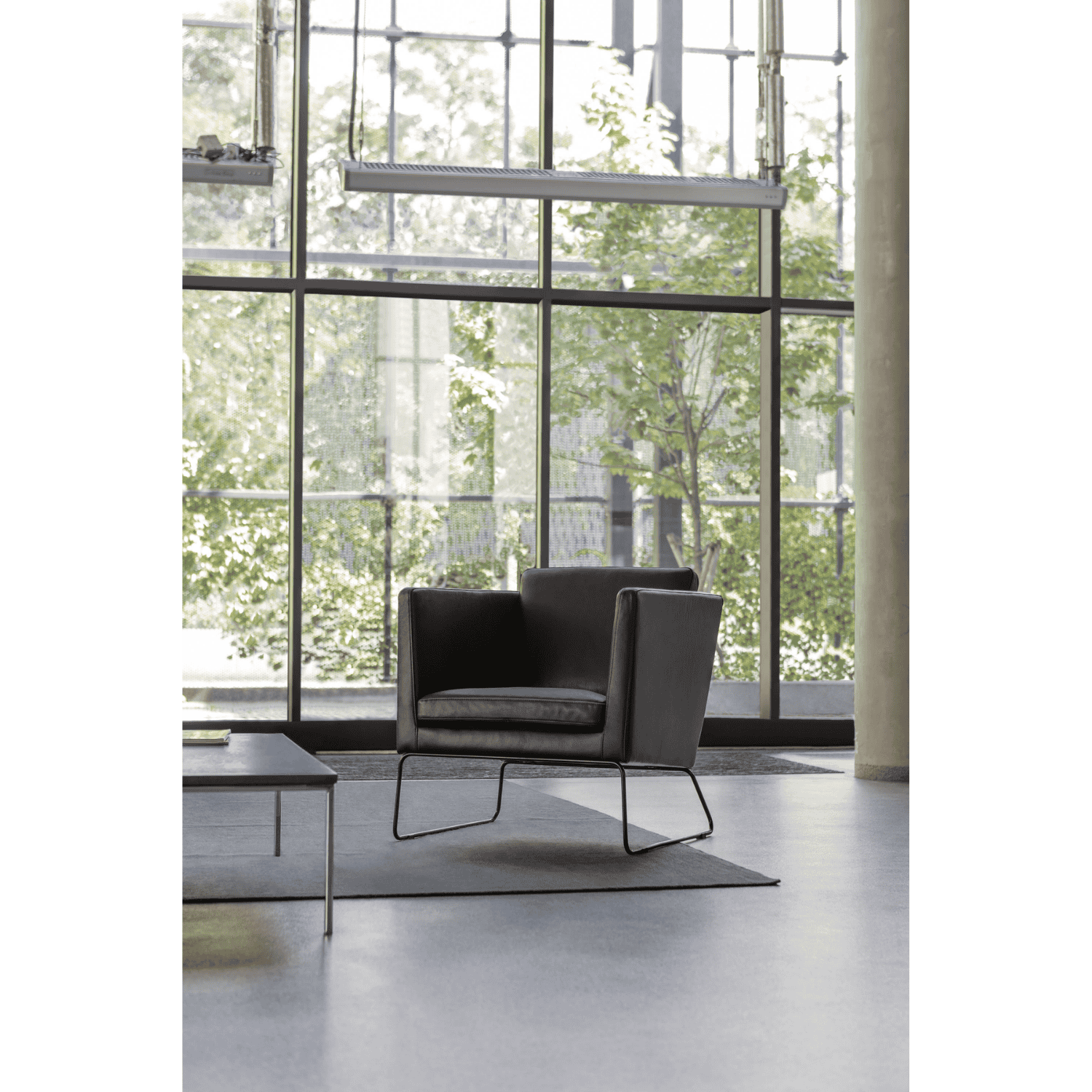 CLARK - Dining Chair