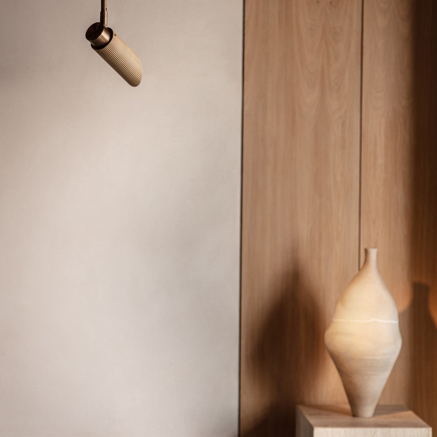 SPOT PRO 1000 DROP ROD - Ceiling Light