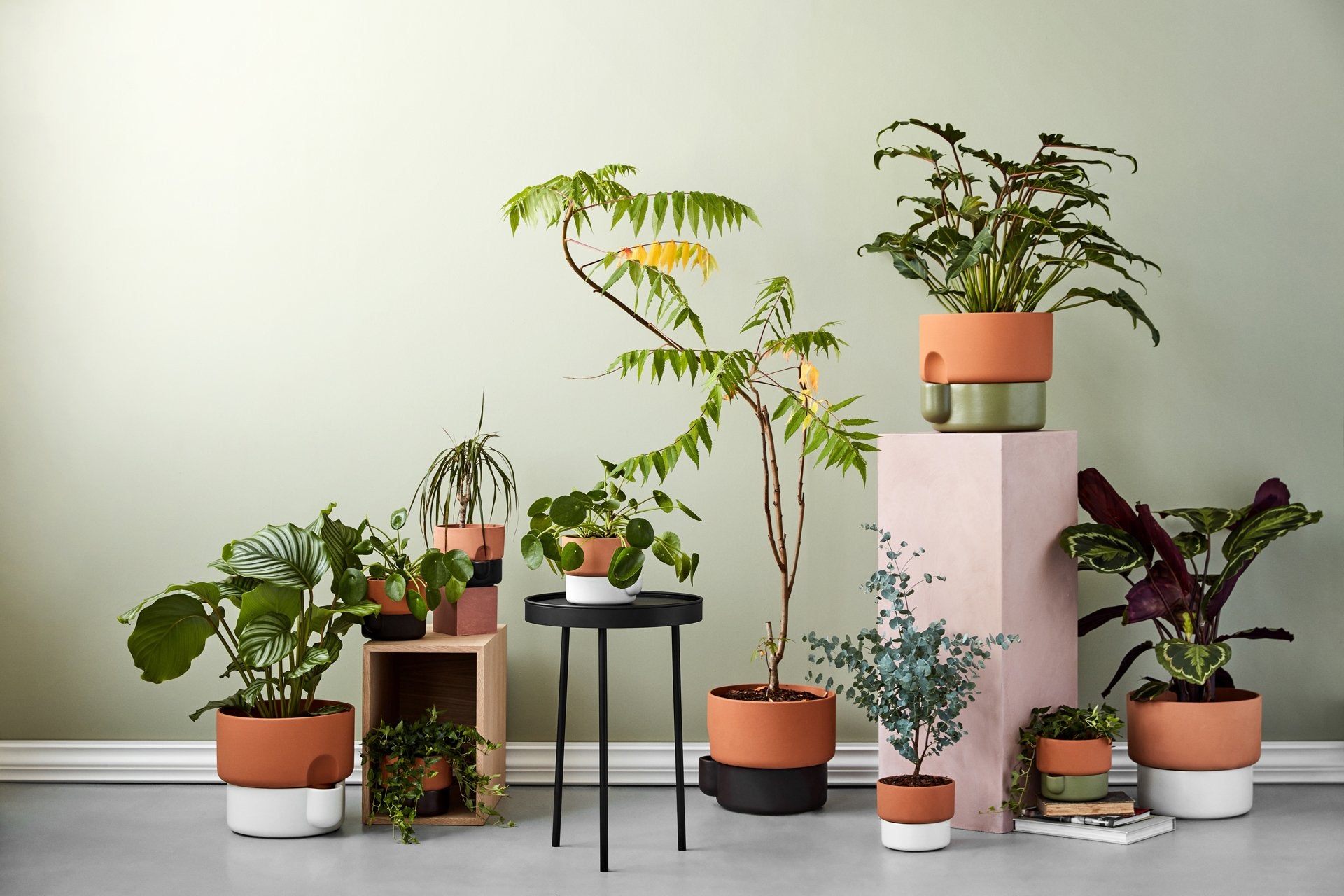 indoor plant oasis Northern Oasis Planter – Luminesy