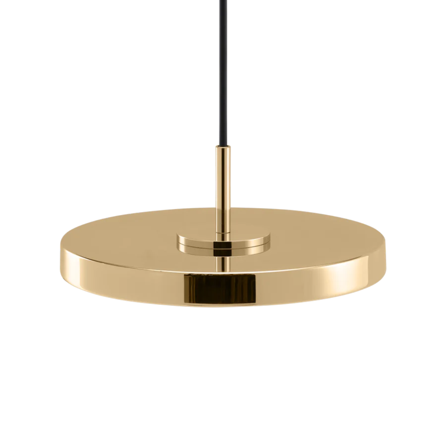 ASTERIA MICRO MONOCHROME - Pendant Light